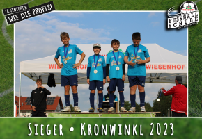 Wiesenhof Fussballschule TSV Kronwinkl Bild 23