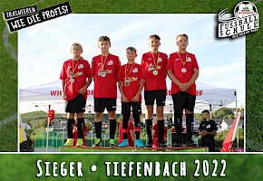 Wiesenhof Fussballschule Tiefenbach Bild 19