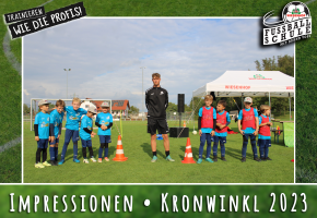 Wiesenhof Fussballschule TSV Kronwinkl Bild 1
