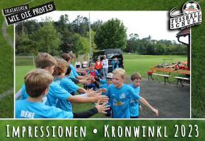 Wiesenhof Fussballschule TSV Kronwinkl Bild 3