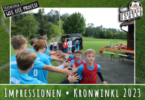 Wiesenhof Fussballschule TSV Kronwinkl Bild 4