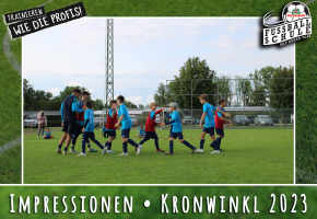 Wiesenhof Fussballschule TSV Kronwinkl Bild 11