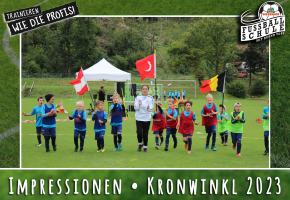 Wiesenhof Fussballschule TSV Kronwinkl Bild 12