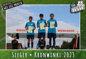 Wiesenhof Fussballschule TSV Kronwinkl Bild 22