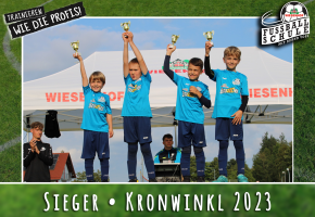 Wiesenhof Fussballschule TSV Kronwinkl Bild 26