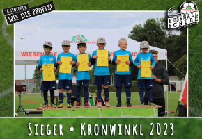Wiesenhof Fussballschule TSV Kronwinkl Bild 27