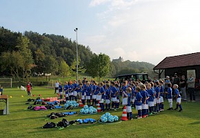 Wiesenhof Fussballschule Kronwinkl Bild 3